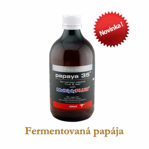 fermentovana-papaya-500x500