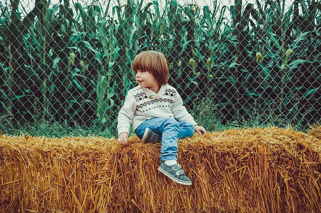 chlapček sedí na sene v prírode, za ním je kukurica