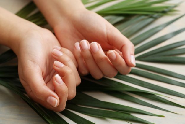Ruky so záberom na nechty sú položené na zelených listoch palmy.
