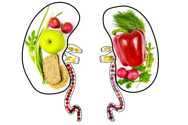 Ilustrácia obličiek, vhodná strava pri poruchách obličiek, bez soli a sodíka, čerstvé ovocie a zelenina.