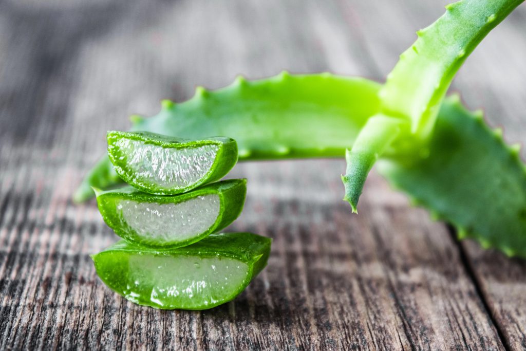 gastro repar aloe vera
