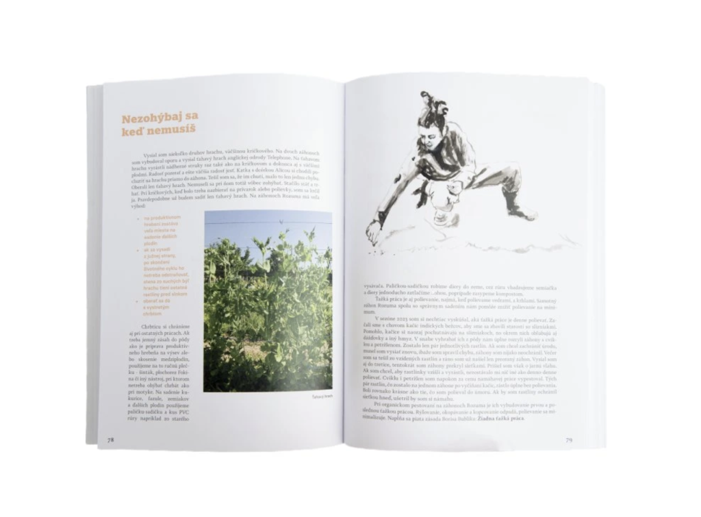 kniha: záhon rozuma