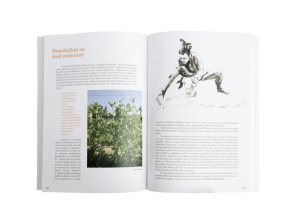 kniha: záhon rozuma