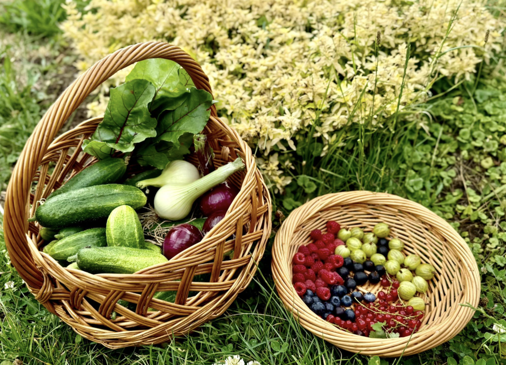 snímka obrazovky 2025 11 15 o 13.56.25