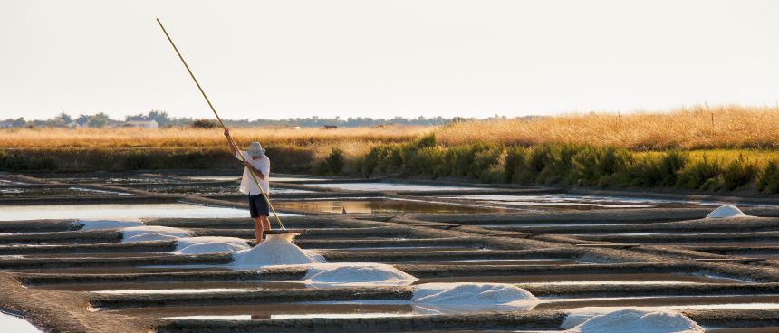 Muž zberajúci keltskú soľ na jazierkach pri západe slnka.